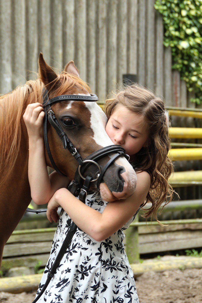 pony, girl, horse, child, animal, hobby, cute, coupling, horse riding, nature, summer, pony riding, love for animals
